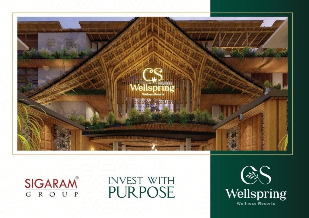 pitch n present slide mockup